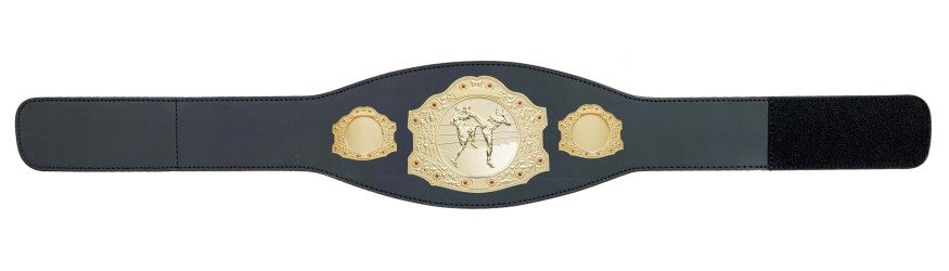 GOLD CHAMPIONSHIP BELT - XXLMIDI/G/THAIBOXG - AVAILABLE IN 4 LEATHER COLOURS GOLD CHAMPIONSHIP BELT - XXLMIDI/G/THAIBOXG - AVAILABLE IN 4 LEATHER COLOURS